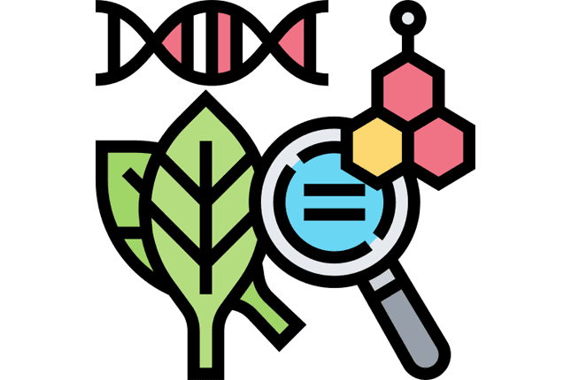 Plant Biology